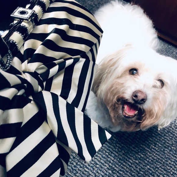 Valentino Black And Ivory Satin Evening Bag - Picture 1 of 5